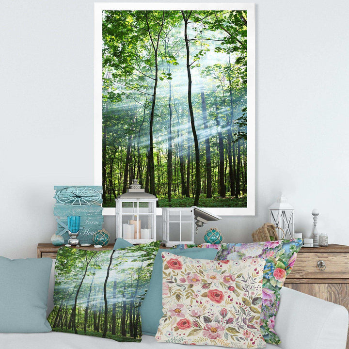 Green Sunny Forest