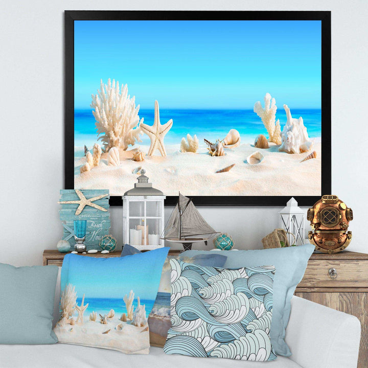 Seashells on Tropical Beach