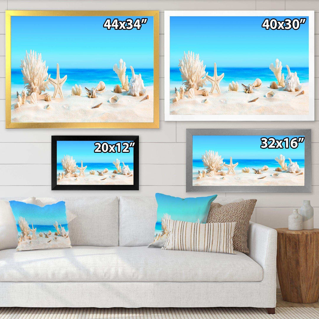 Seashells on Tropical Beach