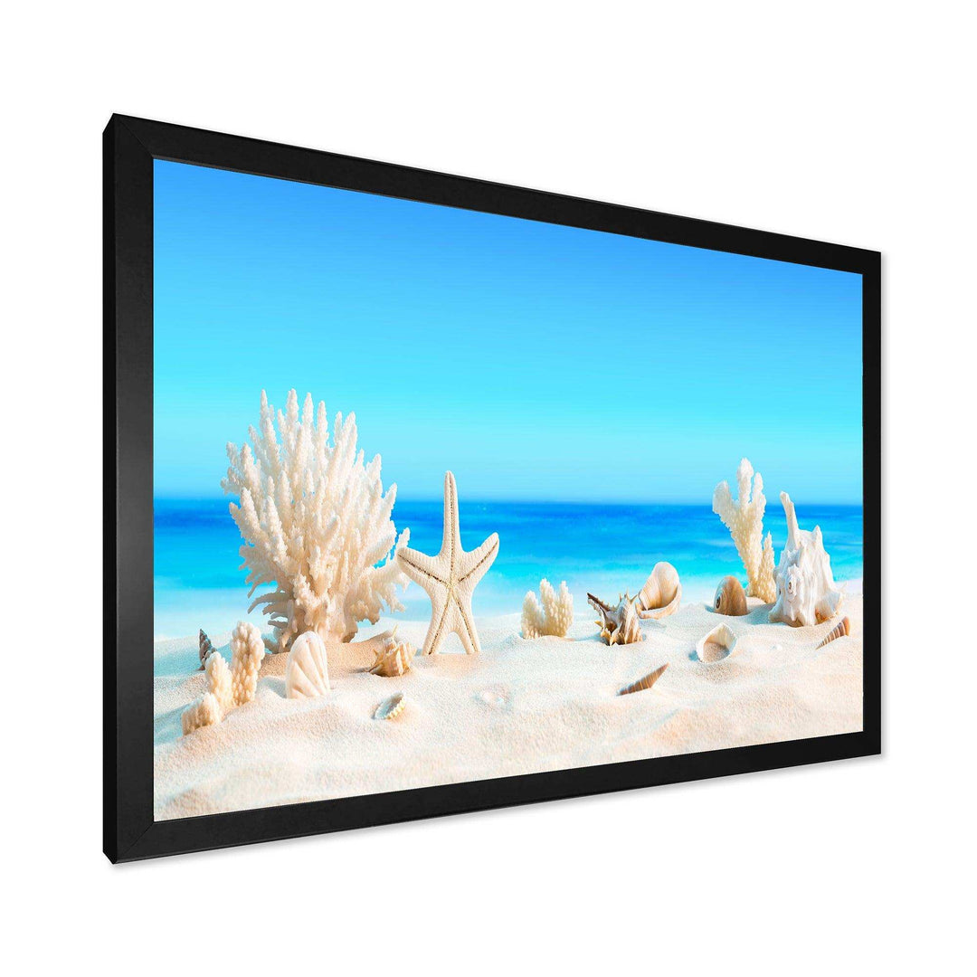 Seashells on Tropical Beach