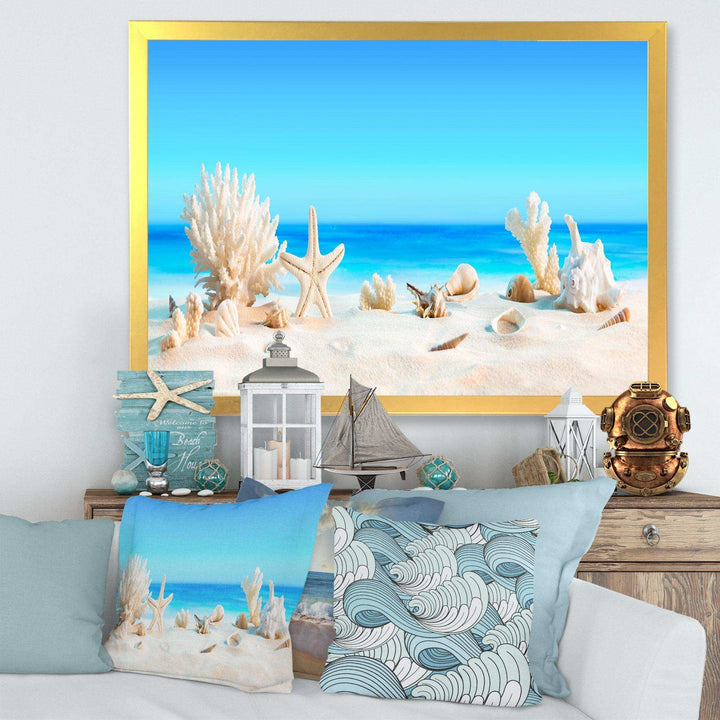 Seashells on Tropical Beach
