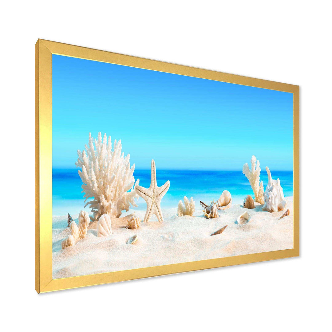 Seashells on Tropical Beach