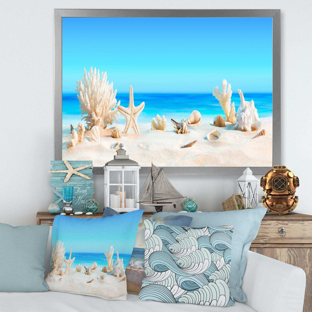 Seashells on Tropical Beach
