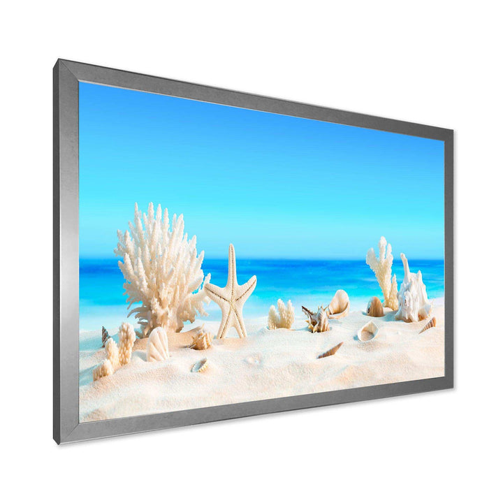 Seashells on Tropical Beach