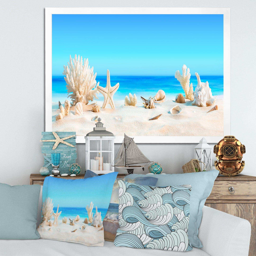 Seashells on Tropical Beach