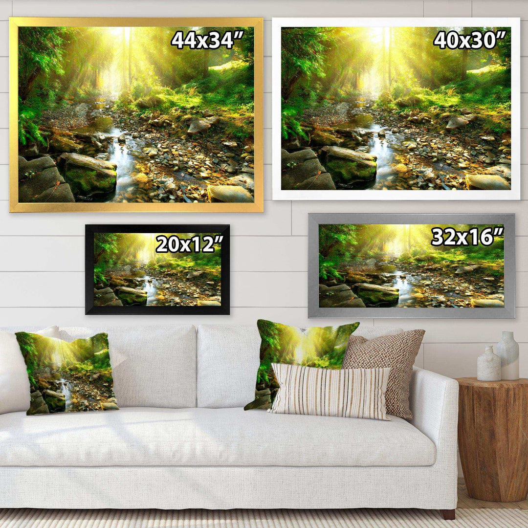 Mountain Stream in Forest