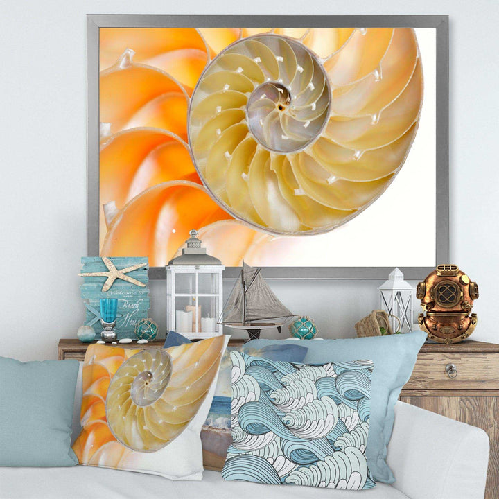 Isolated Nautilus Shell - Nautical &amp; Coastal Bedroom Wall Art