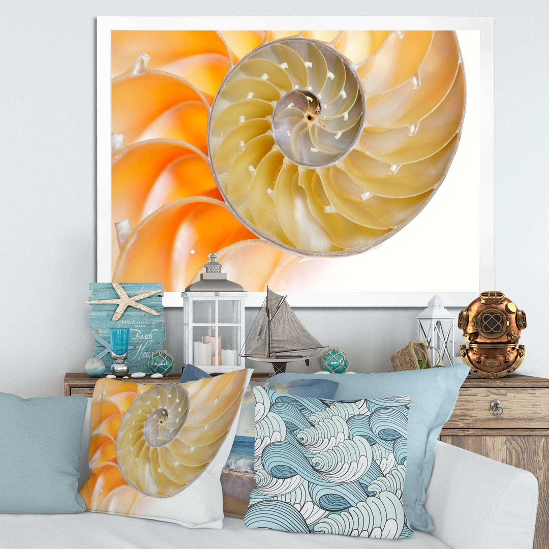 Isolated Nautilus Shell - Nautical &amp; Coastal Bedroom Wall Art