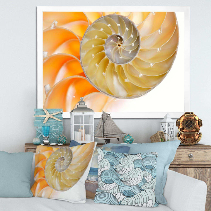 Isolated Nautilus Shell - Nautical &amp; Coastal Bedroom Wall Art