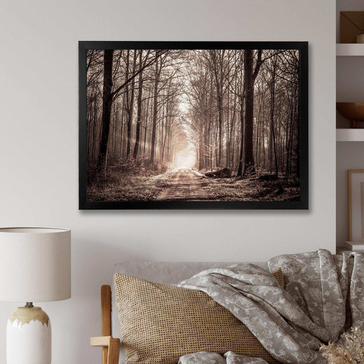 Forest Trail in Sepia