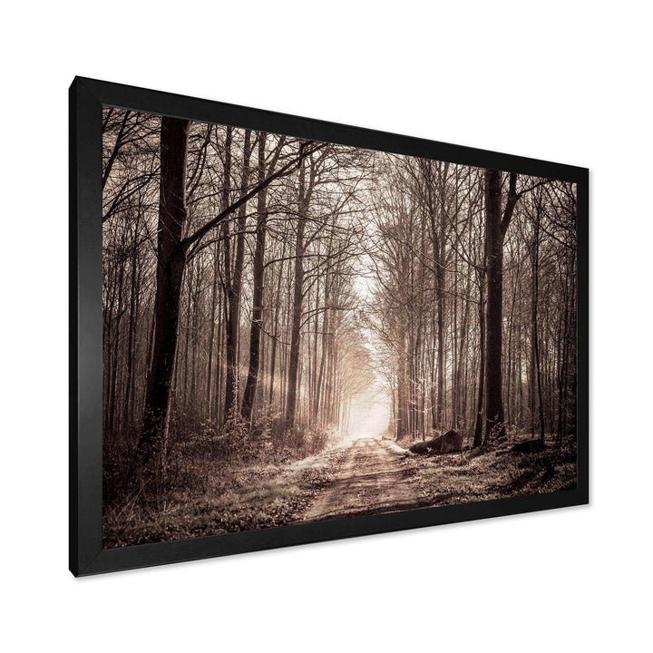 Forest Trail in Sepia