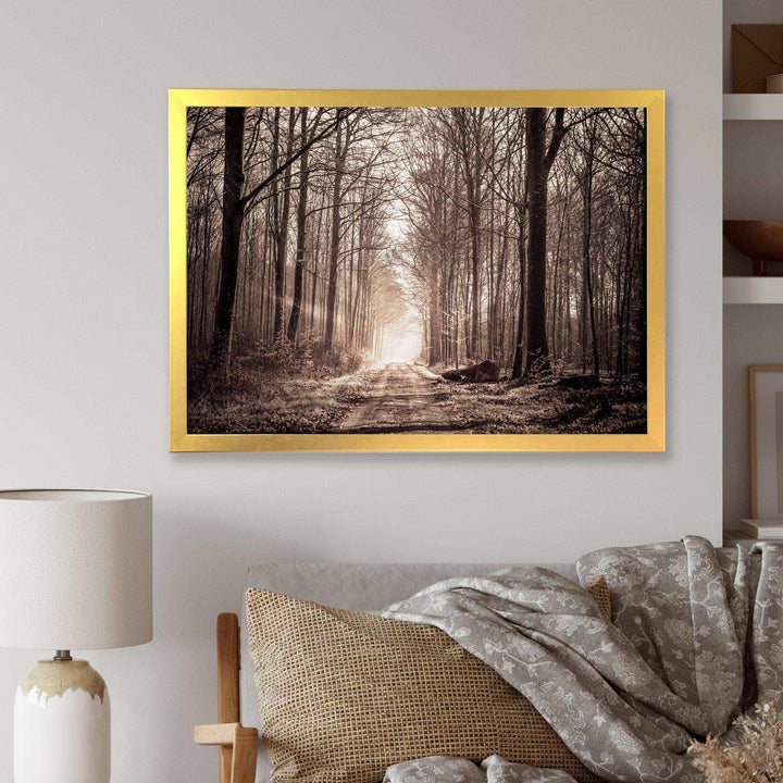 Forest Trail in Sepia