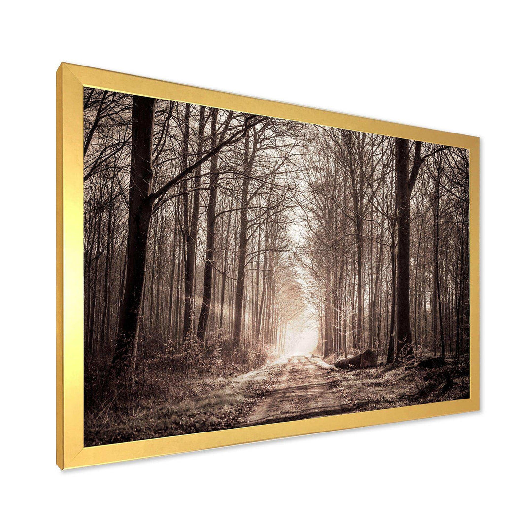 Forest Trail in Sepia
