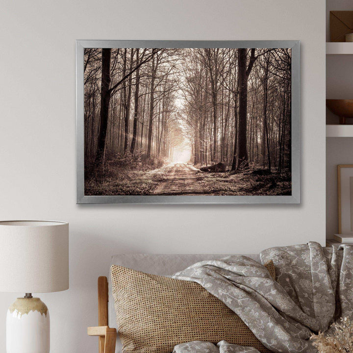 Forest Trail in Sepia