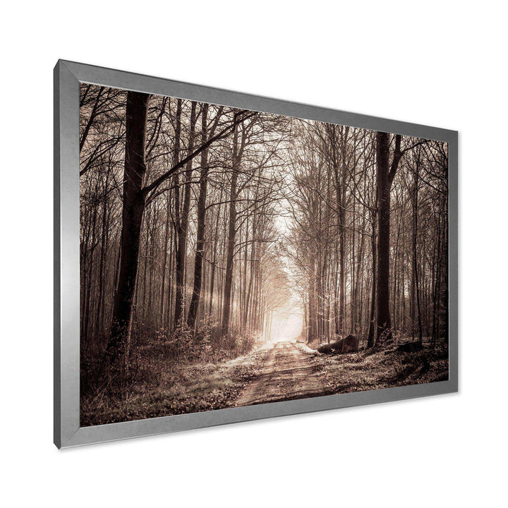 Forest Trail in Sepia