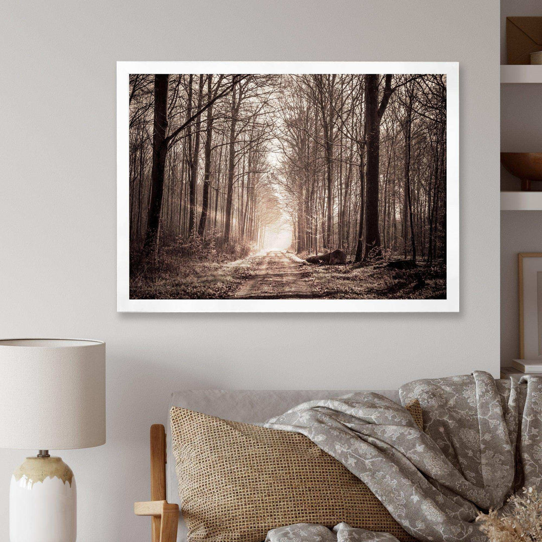 Forest Trail in Sepia