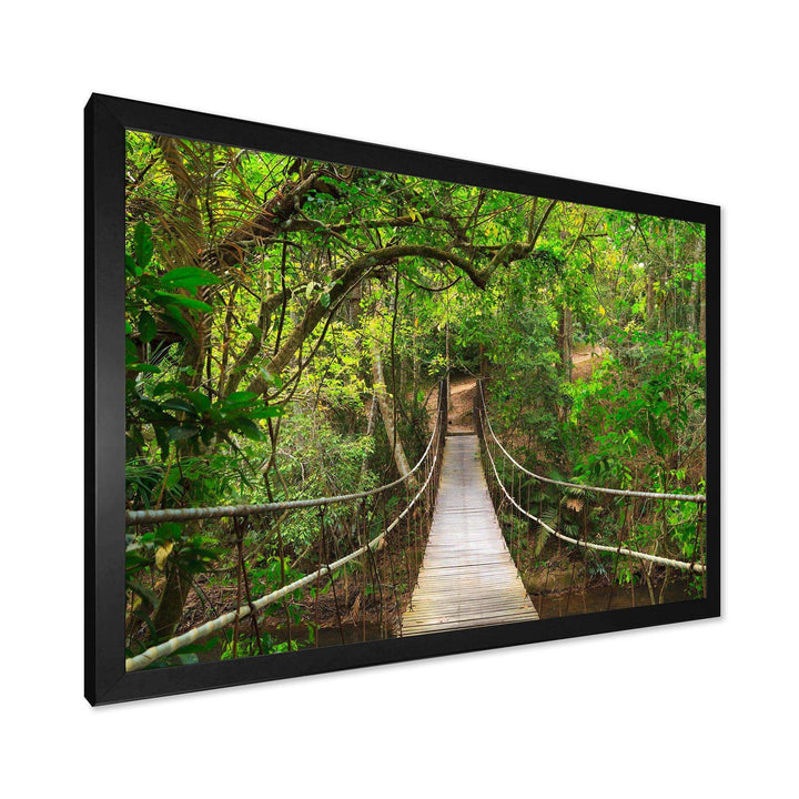 Bridge to Jungle Thailand