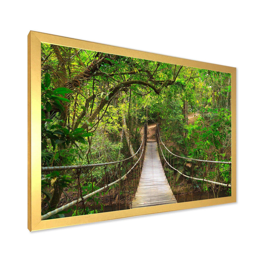 Bridge to Jungle Thailand