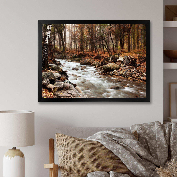 Stream in Autumn Forest