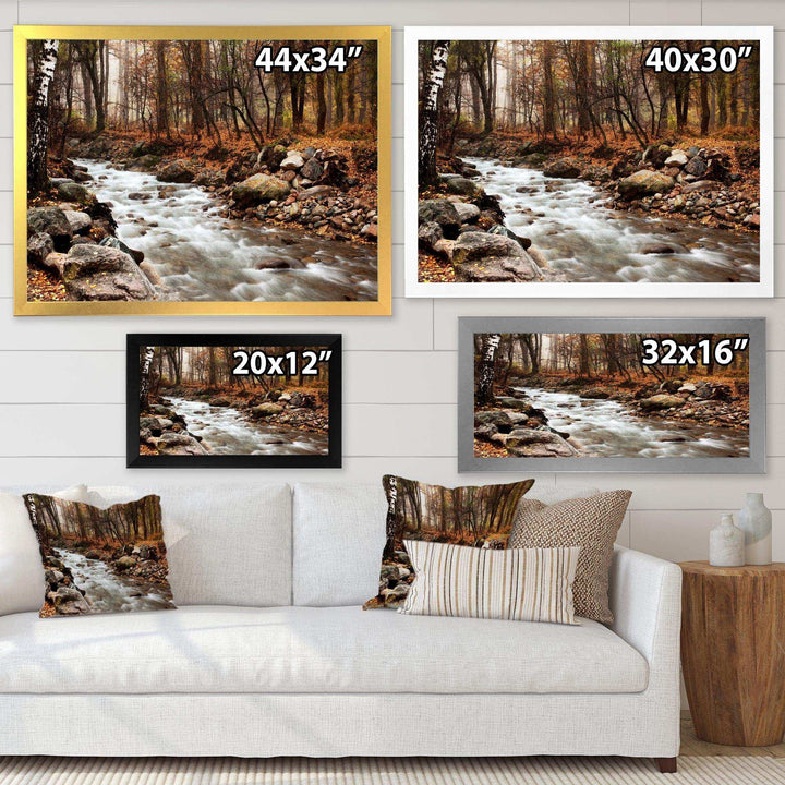 Stream in Autumn Forest