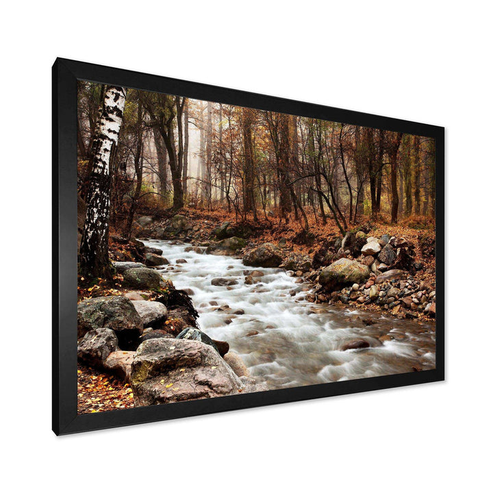 Stream in Autumn Forest