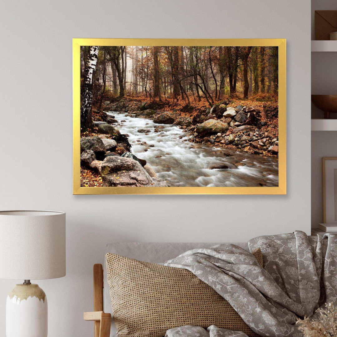 Stream in Autumn Forest