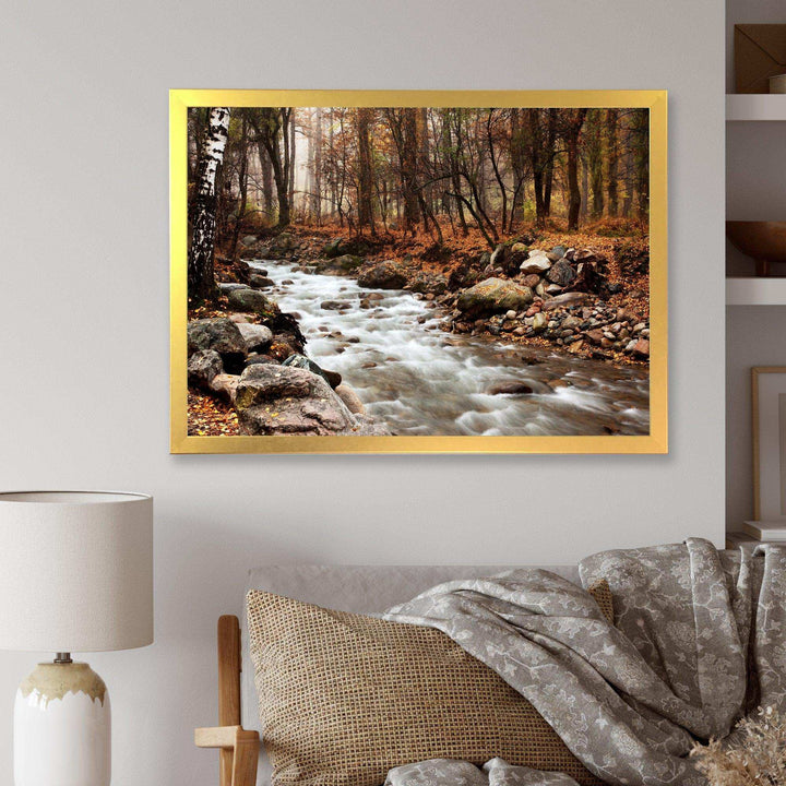 Stream in Autumn Forest