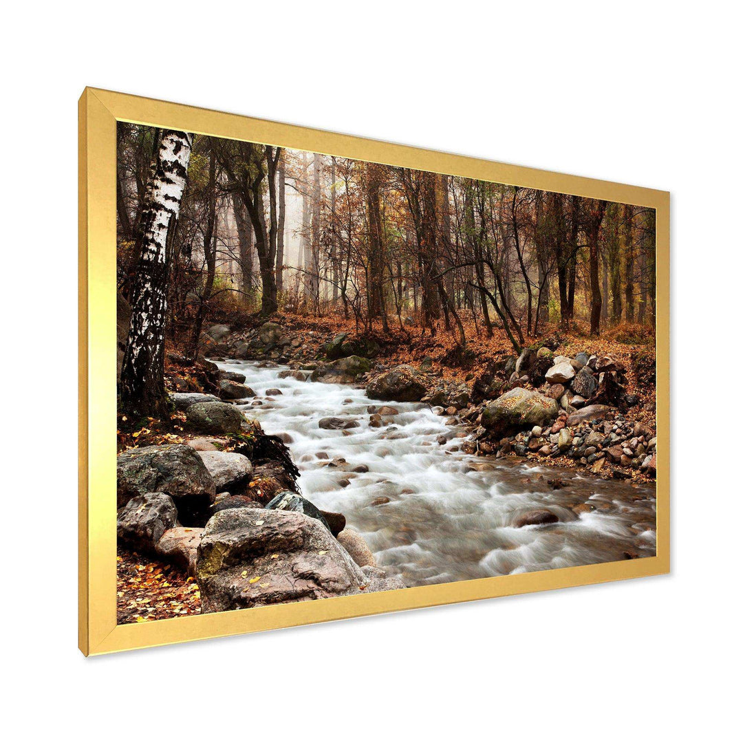 Stream in Autumn Forest