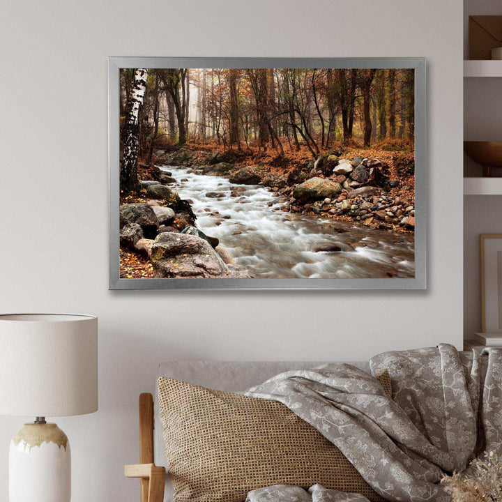 Stream in Autumn Forest