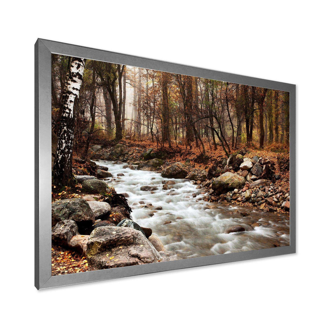 Stream in Autumn Forest