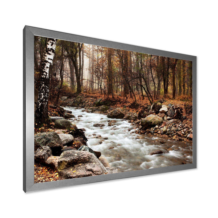 Stream in Autumn Forest