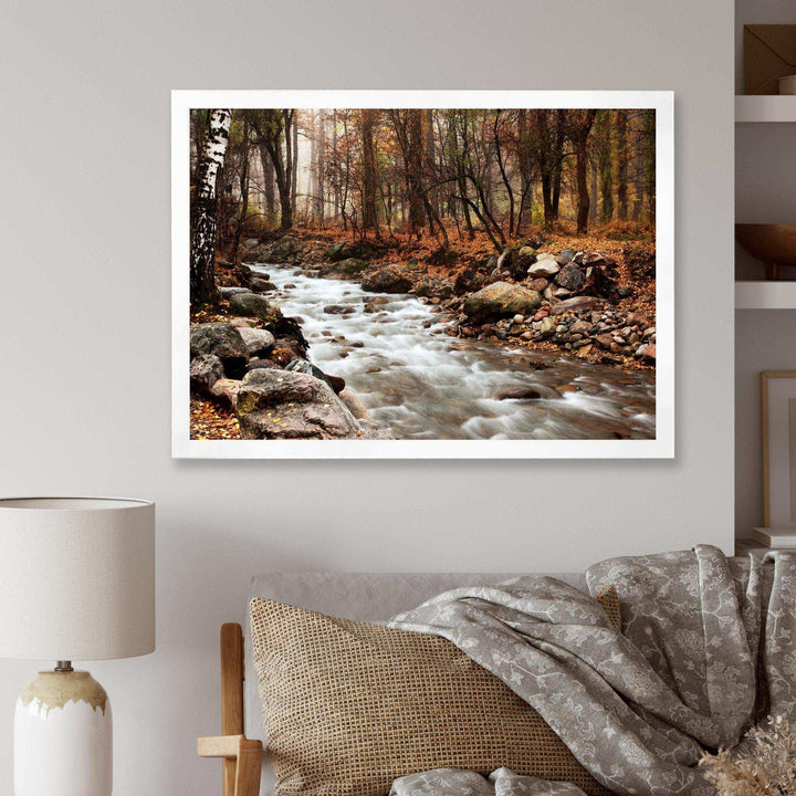 Stream in Autumn Forest