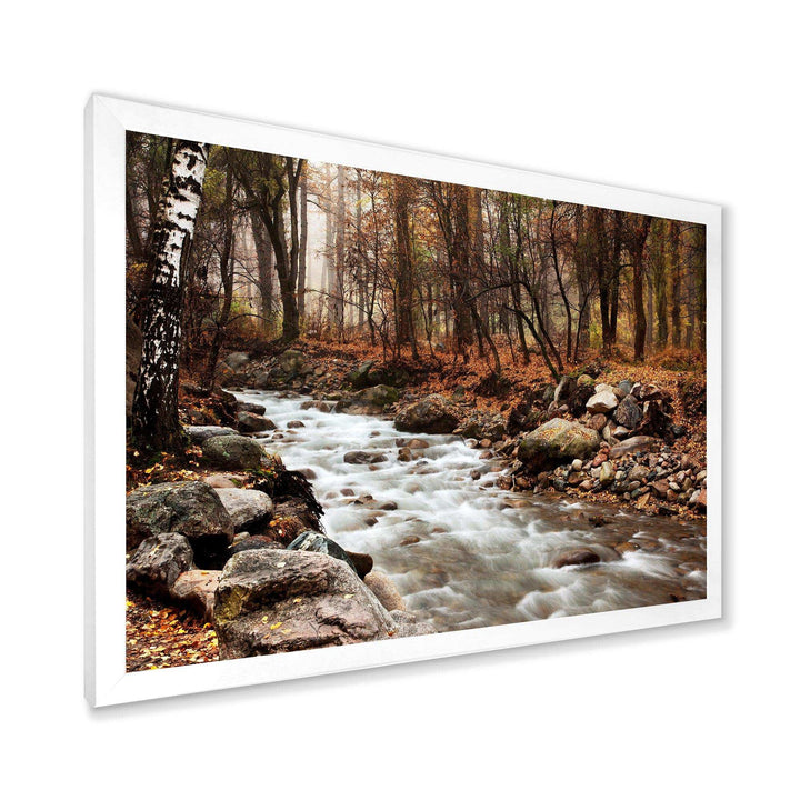 Stream in Autumn Forest