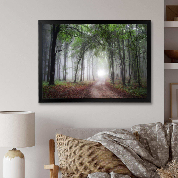 Light Through Green Fall Forest