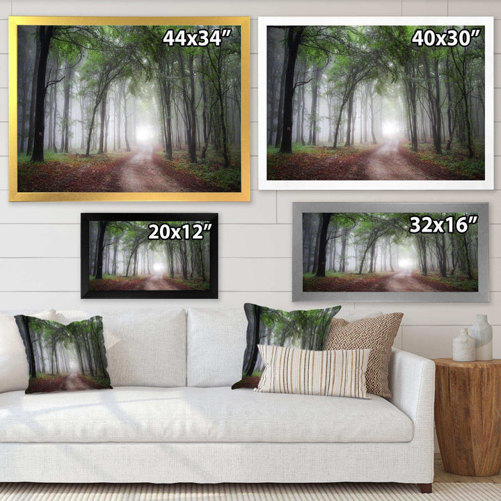 Light Through Green Fall Forest