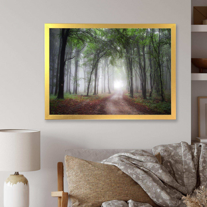 Light Through Green Fall Forest