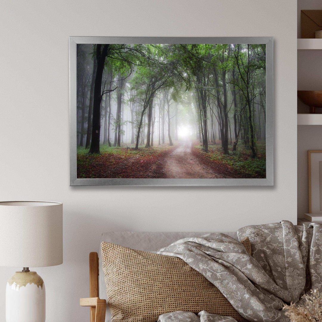 Light Through Green Fall Forest