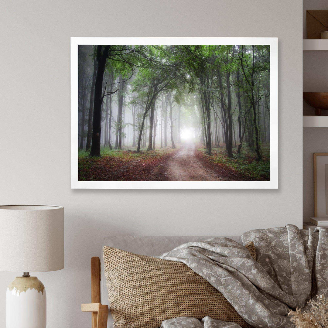 Light Through Green Fall Forest
