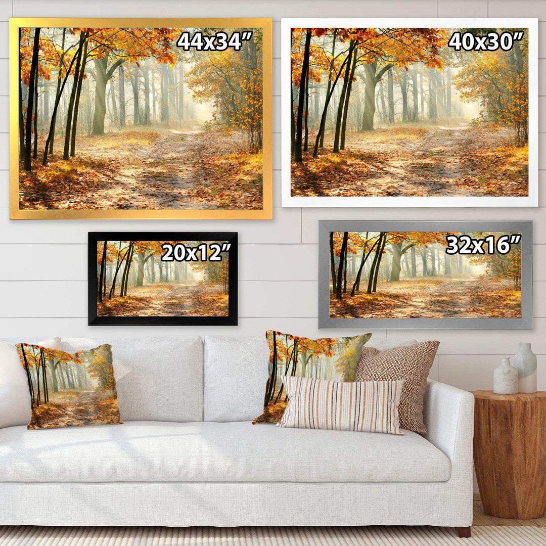 Bright Yellow Fall Morning