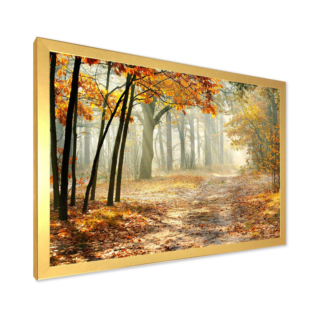 Bright Yellow Fall Morning