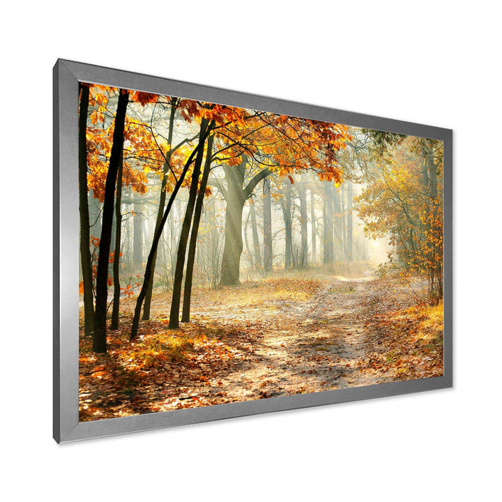 Bright Yellow Fall Morning