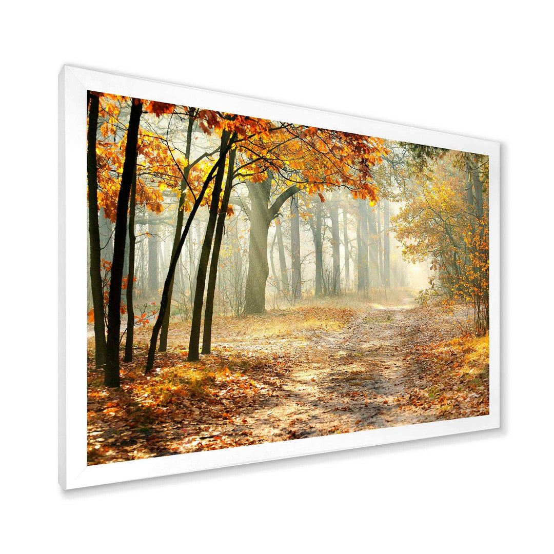 Bright Yellow Fall Morning