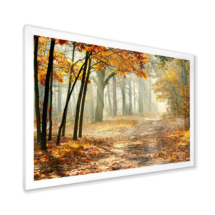 Bright Yellow Fall Morning