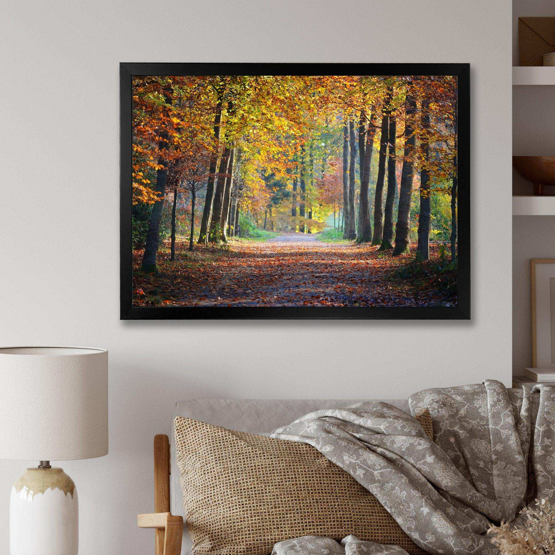Wide Pathway in Yellow Fall Forest