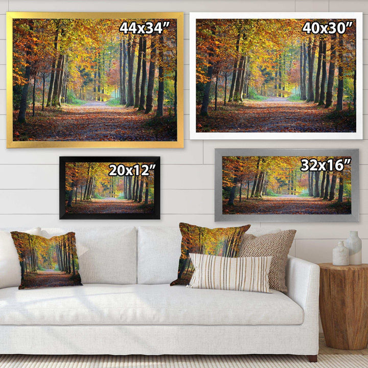 Wide Pathway in Yellow Fall Forest
