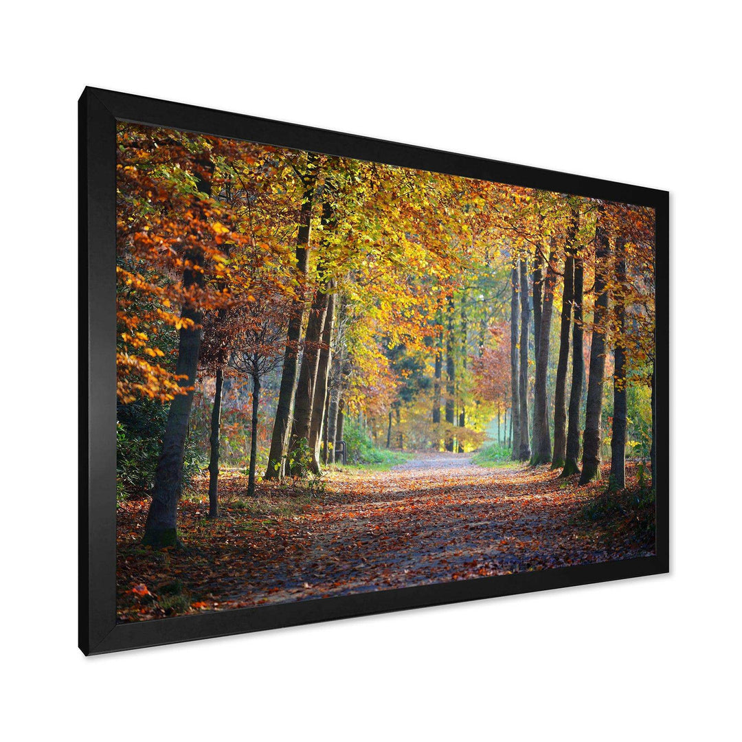 Wide Pathway in Yellow Fall Forest