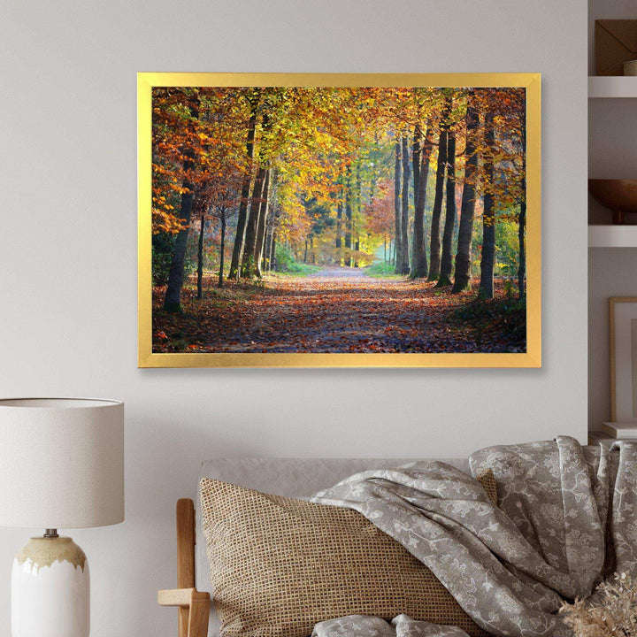 Wide Pathway in Yellow Fall Forest