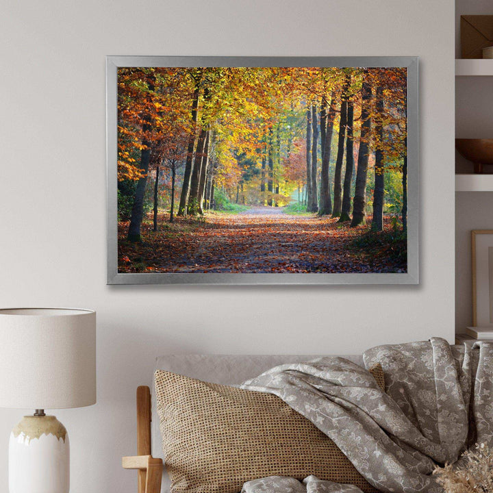 Wide Pathway in Yellow Fall Forest