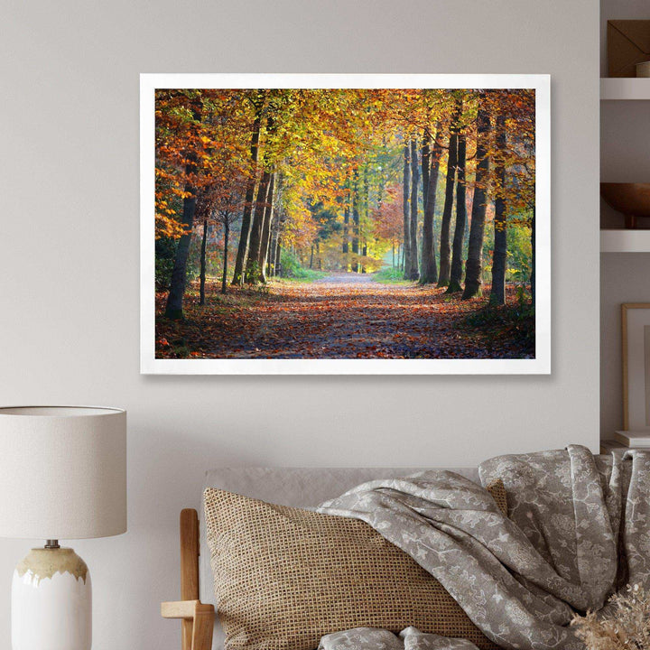 Wide Pathway in Yellow Fall Forest