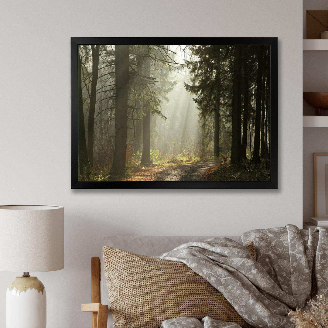 Dark Green Forest with Sun Rays